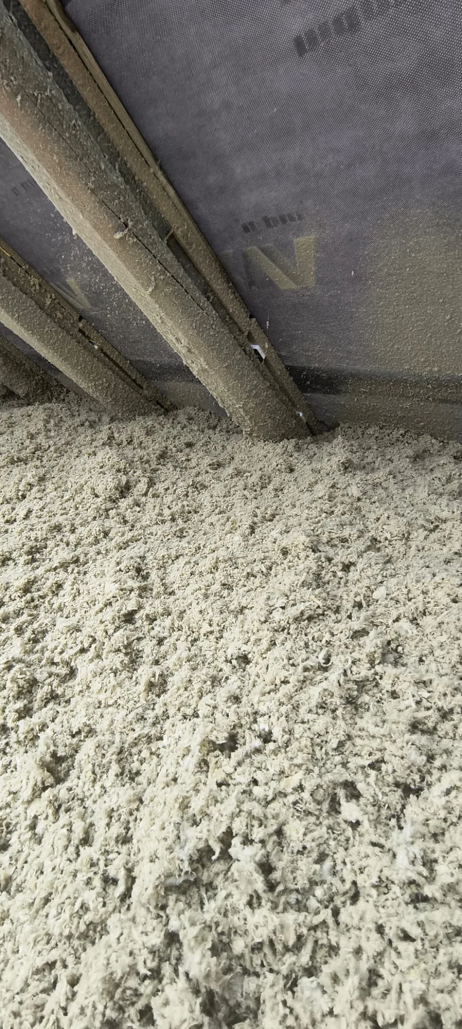 Nadmuch wełny Zbaszyn-webp-APM_Marcin_Wos