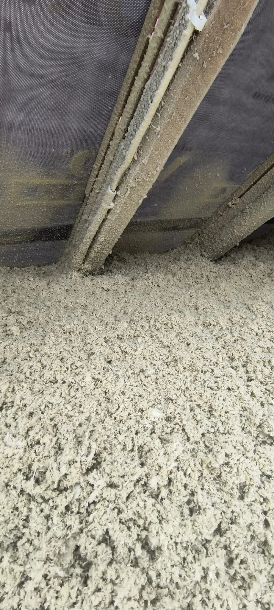 Nadmuch wełny Zbaszyn-webp-APM_Marcin_Wos